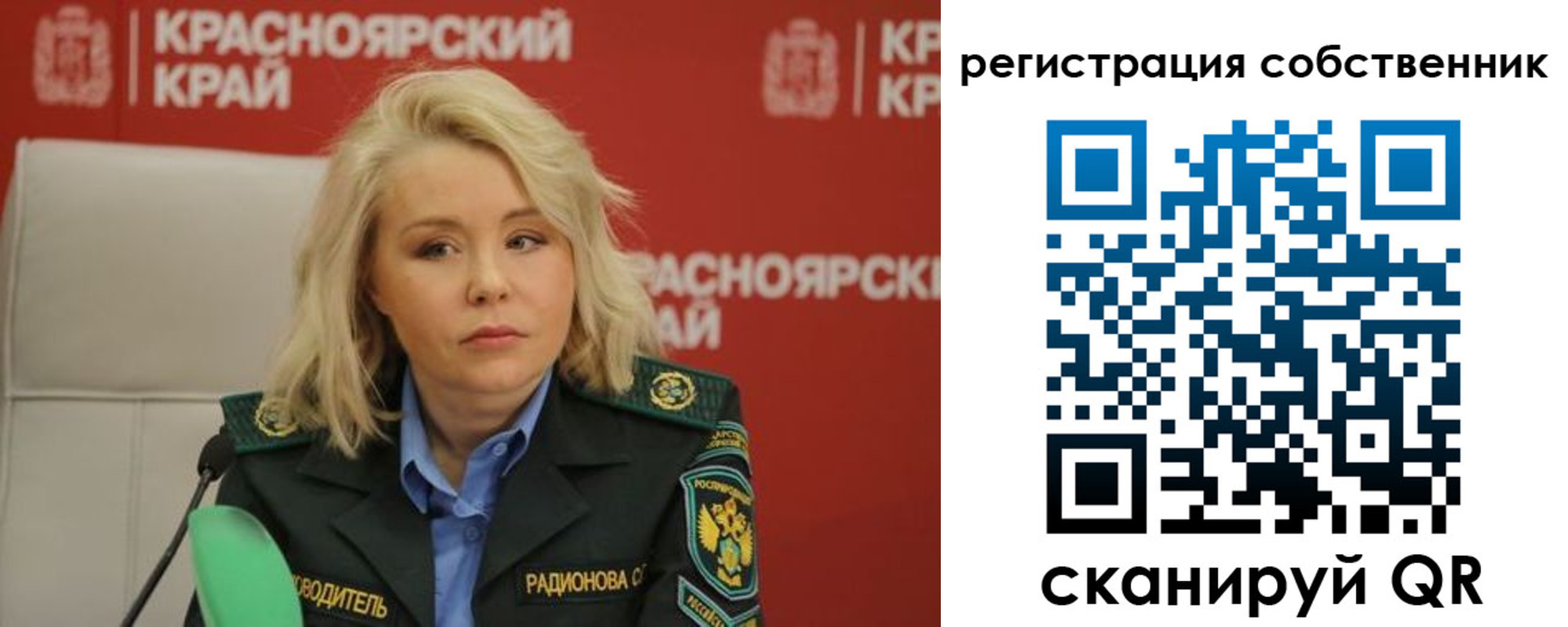 прописка поиск в Мурманске